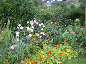 mantenimiento-y-conservacion-de-jardines-ACANTO-JARDINERIA