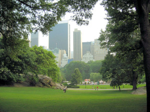 Rascacielos-desde-Central-Park