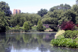 gapstow-bridge-in-central-park