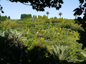 vista-jardines-el-chano