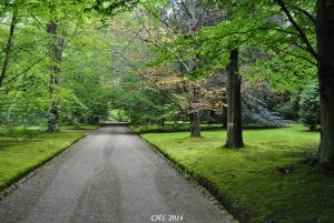 paseo-de-entrada-finca-fundacion-botin