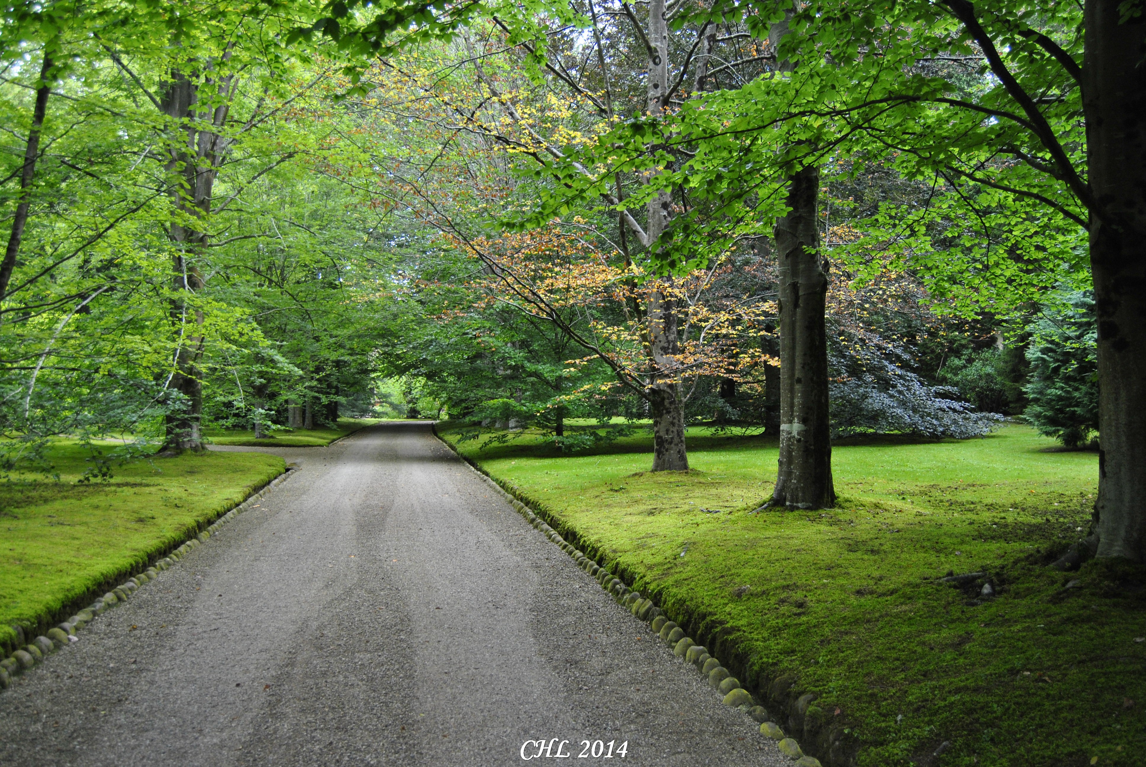 paseo-entrada-jardines-fundacion-botin