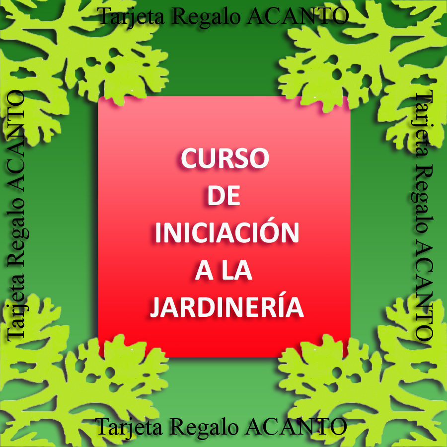 Tarjeta regalo acanto por un Curso de Iniciación a la Jardinería